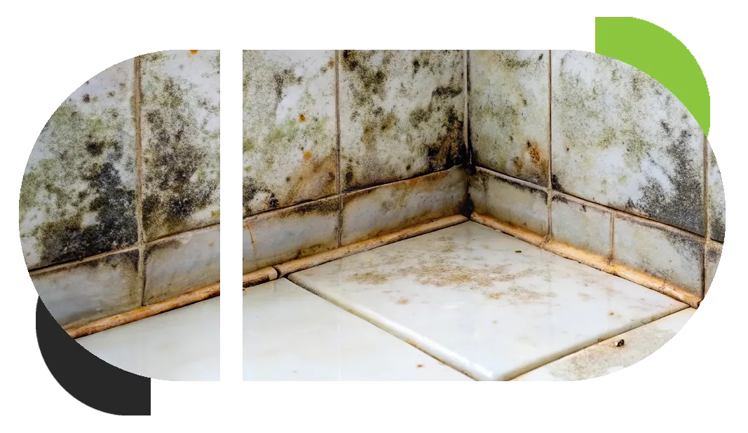 A bathroom floor and wall are full of mold