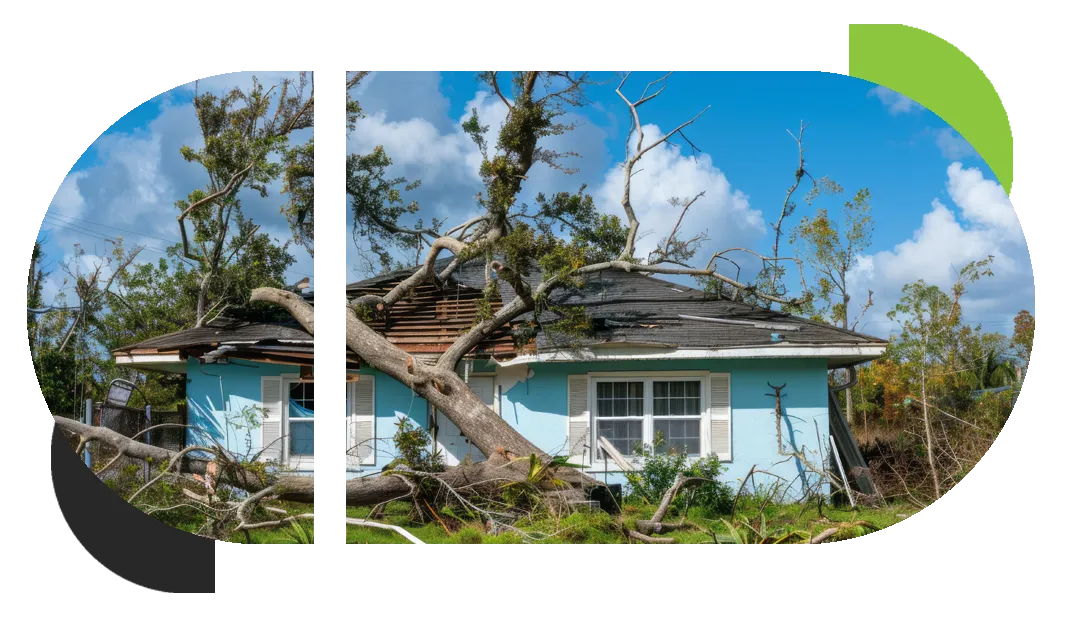 A tree has crushed a home needing storm damage restoration